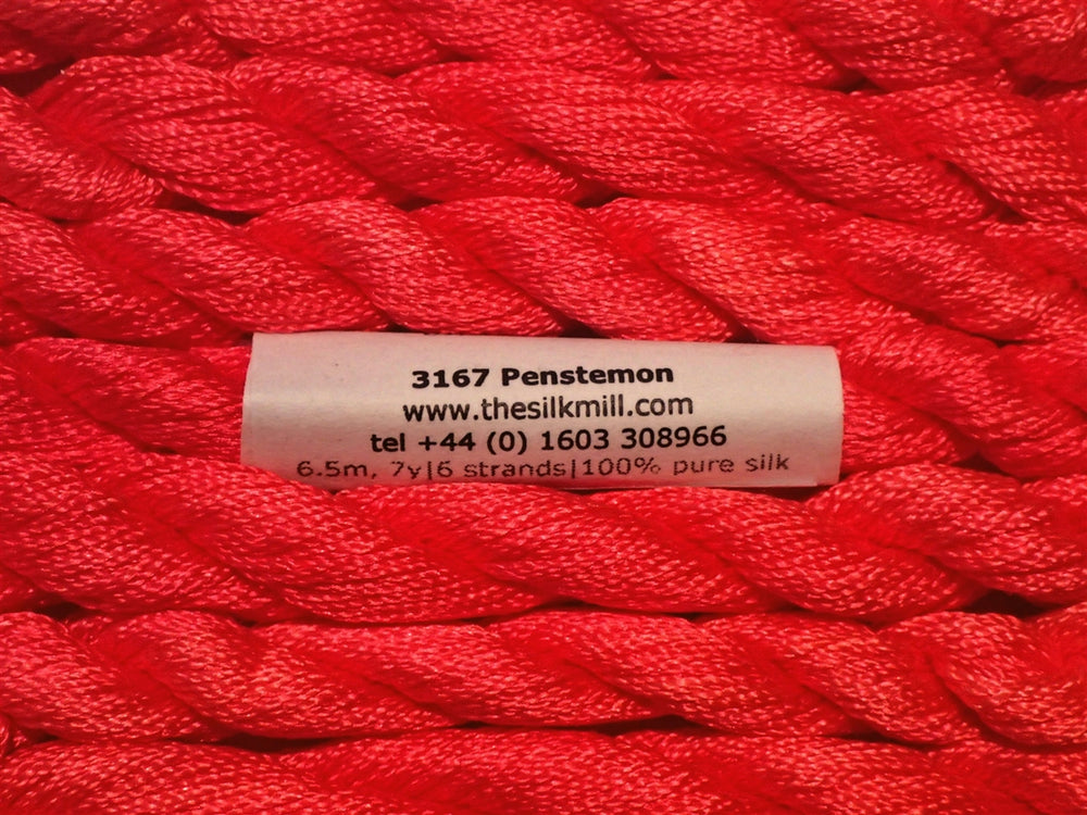 3167 Penstemon