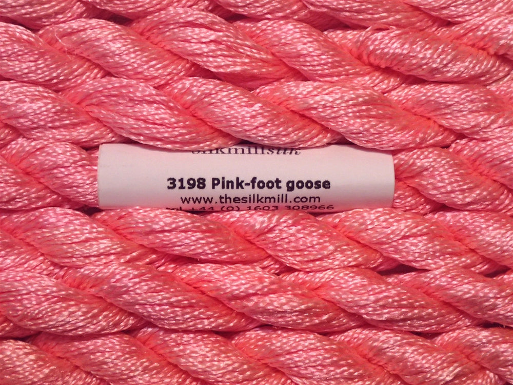 3198 Pink-Foot Goose