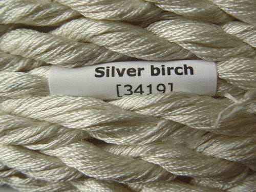 3419 Silver Birch