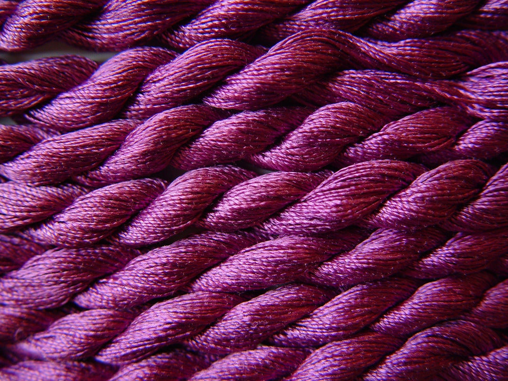 4043 Purple Siberian Melic