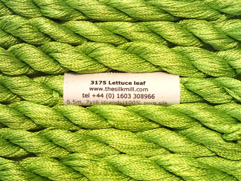 3175 Lettuce Green