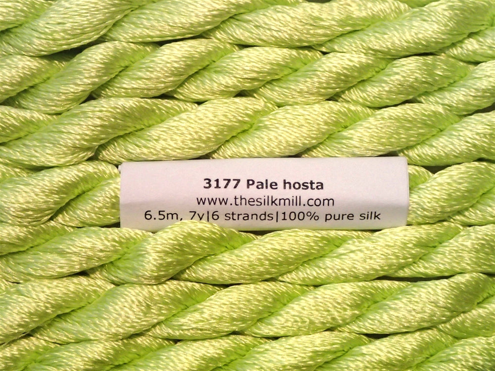 3177 Pale Hosta