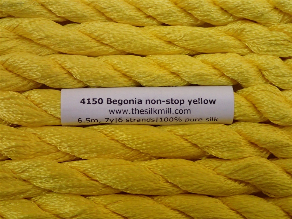 4150 Begonia Non-Stop Yellow