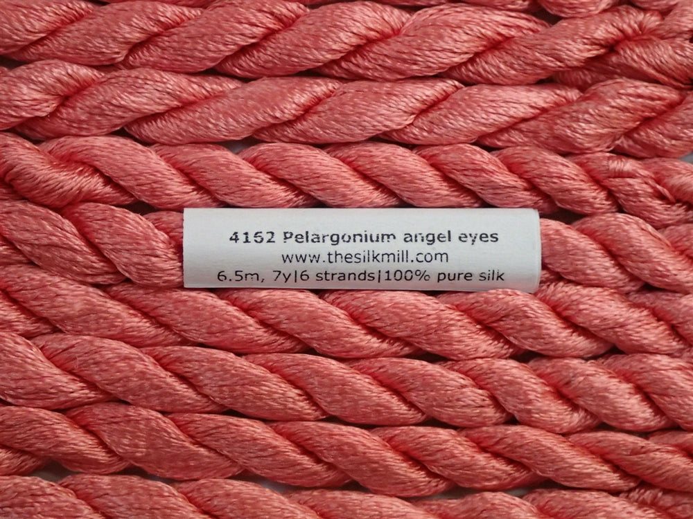 4162 Pelargonium Angel Eyes