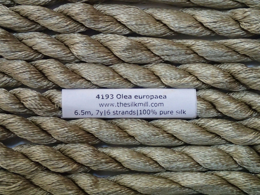 4193 Olea Europaea